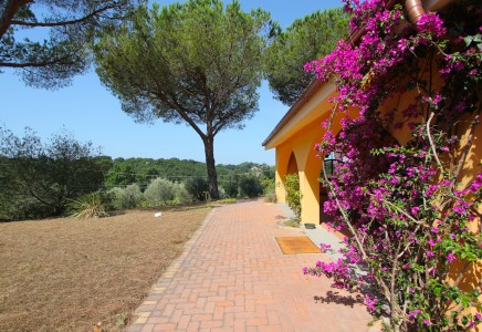 Image for Via Aurelia km. 23,500