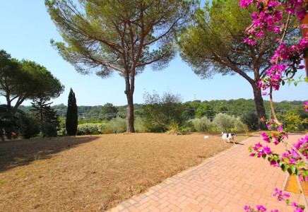 Image for Via Aurelia km. 23,500